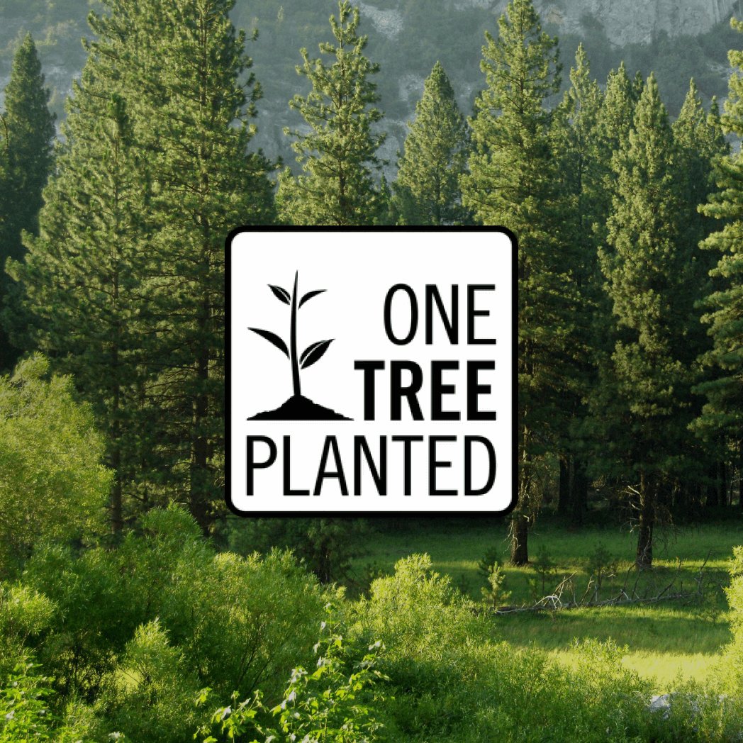 Donation of a Tree - All With Heart