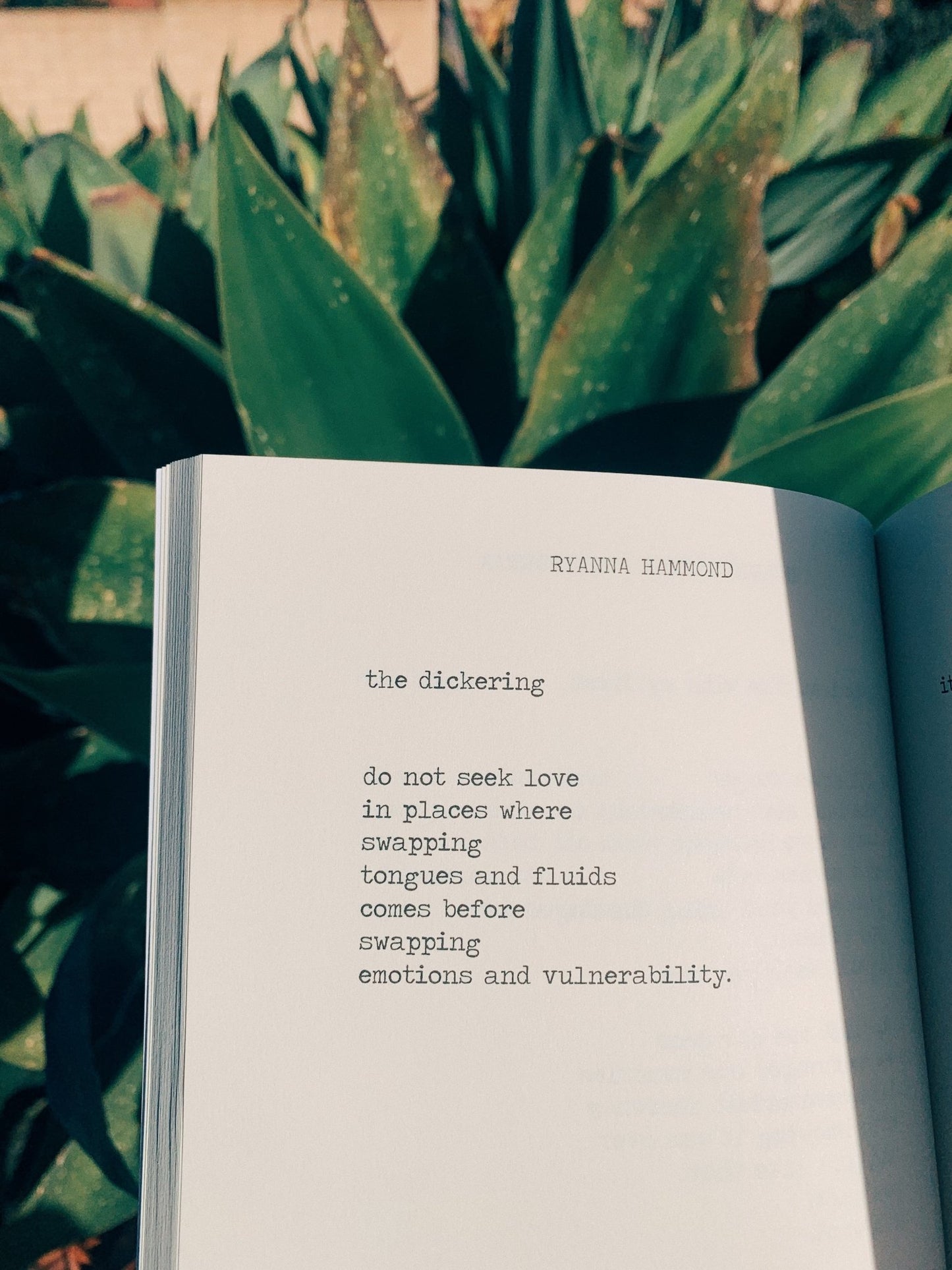 A poem titled the dickering from the poetry book Hearts Bruise Never Break.