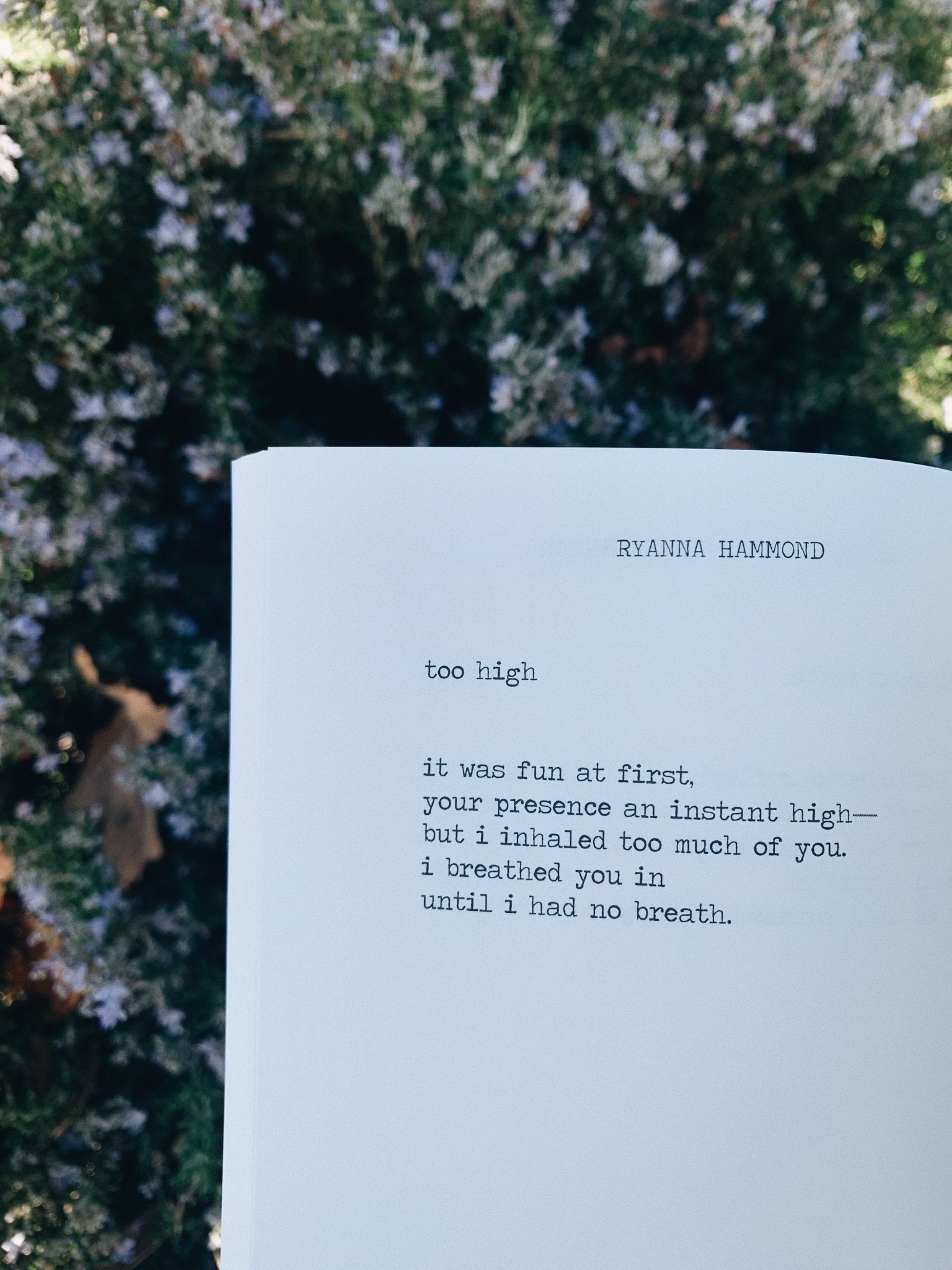 Hearts Bruise Never Break - All With Heart