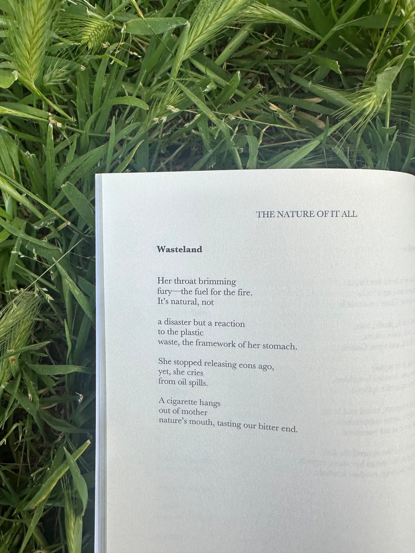 The Nature of It All - All With Heart