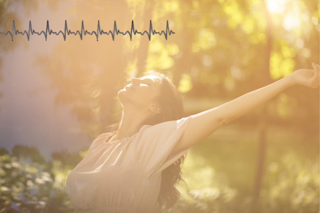 All With Heart: The Meaning Behind the Name