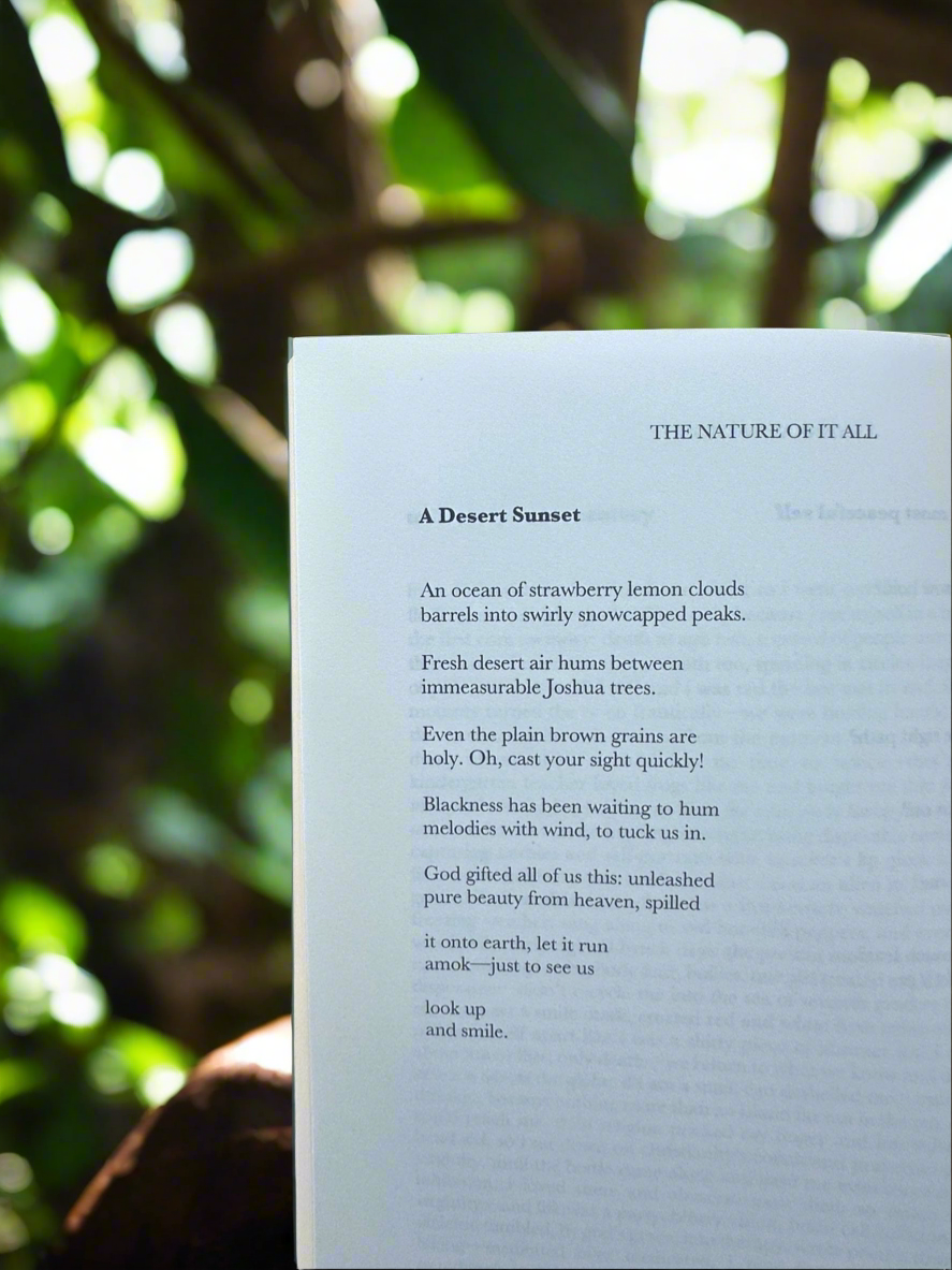 A poem titled “A Desert Sunset” from the book The Nature of It All.