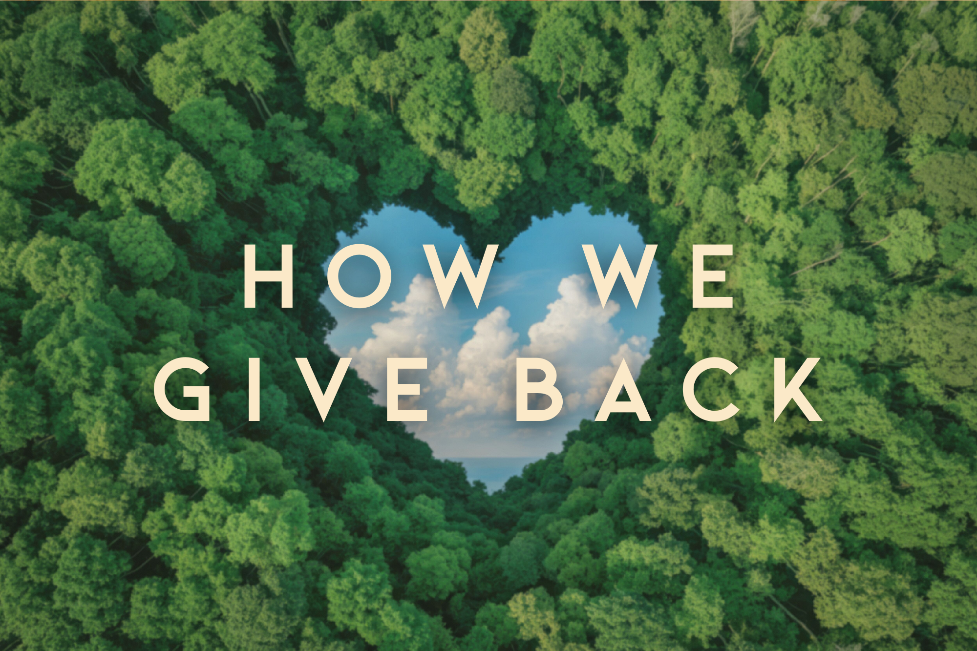 Heart-shaped opening in a forest with 'HOW WE GIVE BACK' text overlay