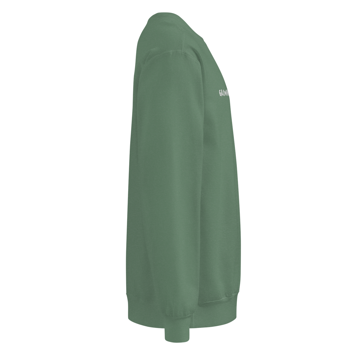 The right side of a green eco-conscious crewneck and nothing is written on the sleeve.