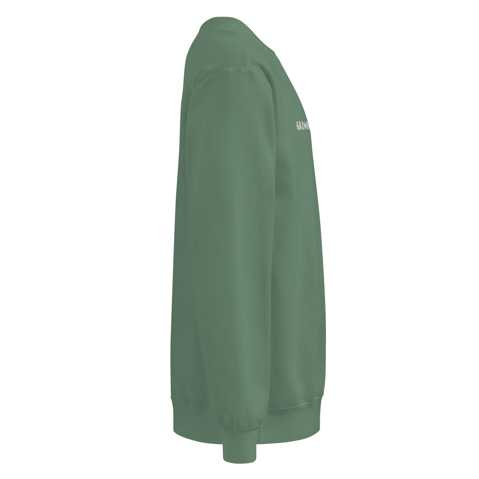 The right side of a green eco-conscious crewneck and nothing is written on the sleeve.